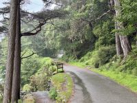 12. Tag – Tag in den Wicklow Mountains – Wanderung im Tal von Glendalough