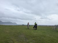 Pferde in Keel, Achill Island