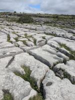 Burren Gebiet, Steinwüste