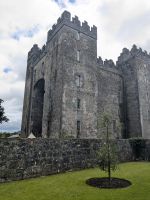 Bunratty Castle 