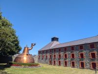 Midleton Distillery Experience 