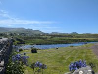 Golfplatz in Waterville