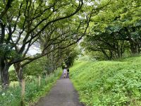 4. Tag – Ausflug nach Nordirland – Zusatzwanderung zum Runkerry Beach