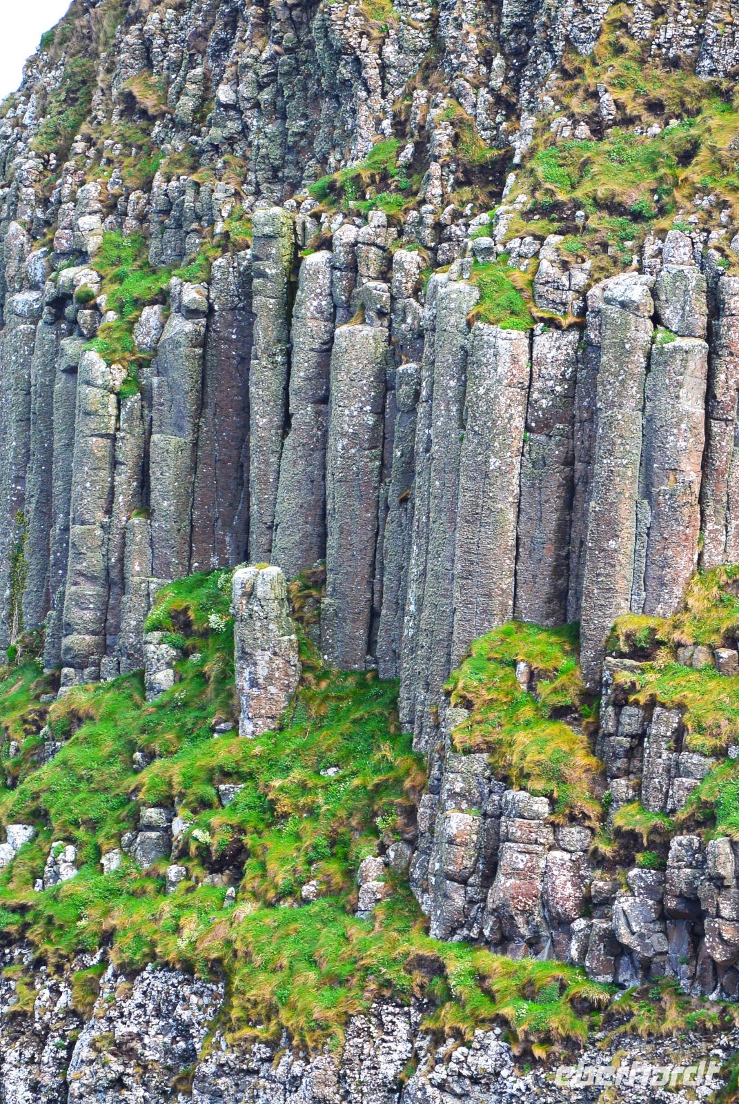 Tag 2 Giants Causeway Säulen 1.JPG