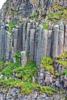 Tag 2 Giants Causeway Säulen 1.JPG