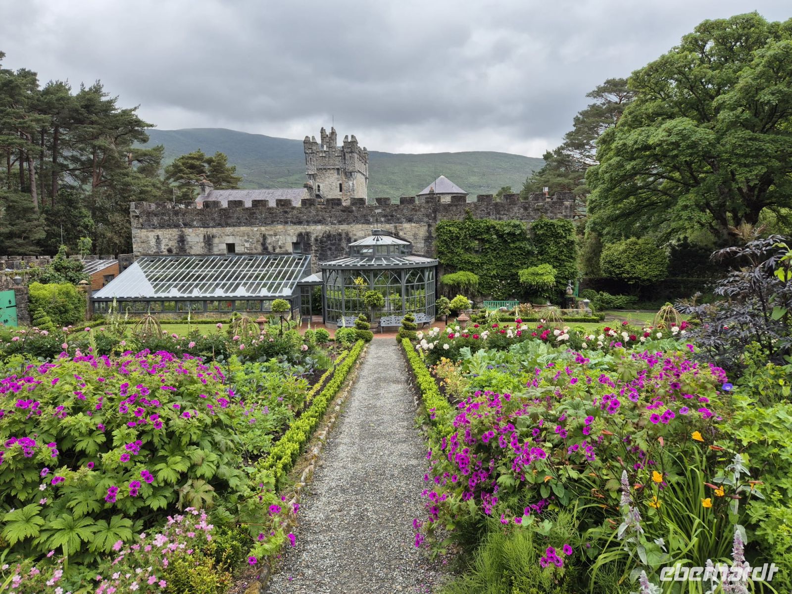 Tag 3 Glenveaigh Gardens.jpg