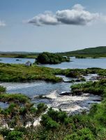 Tag 5 Connemara Rundfahrt Impressionen 2.jpg