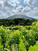 Tag 5 Connemara Blick auf Diamond Hill.jpg