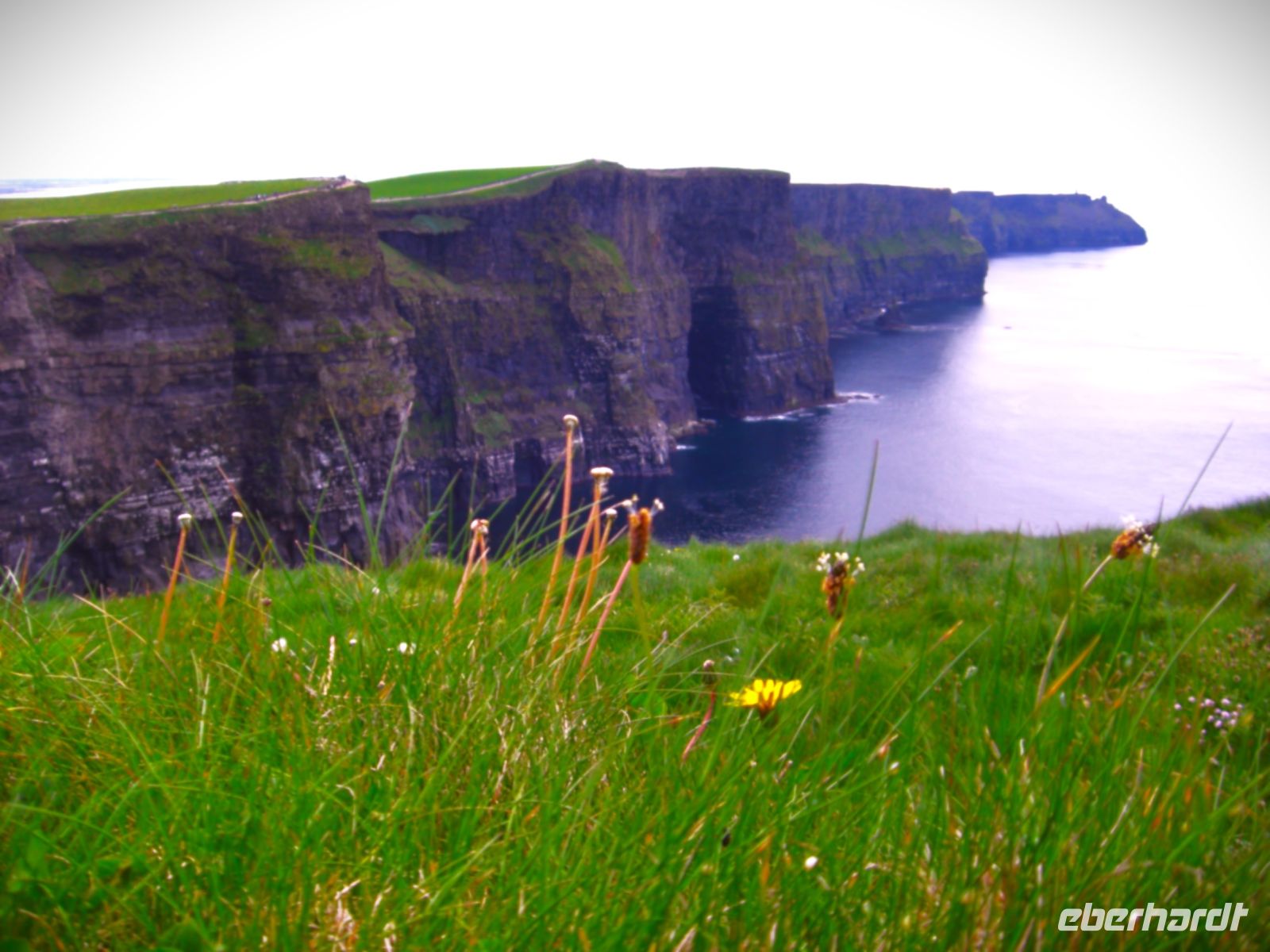Tag 6 Cliffs of Moher.JPG