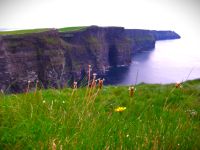 Tag 6 Cliffs of Moher.JPG