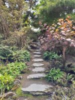 Tag 8 Muckross Gardens 6.jpg