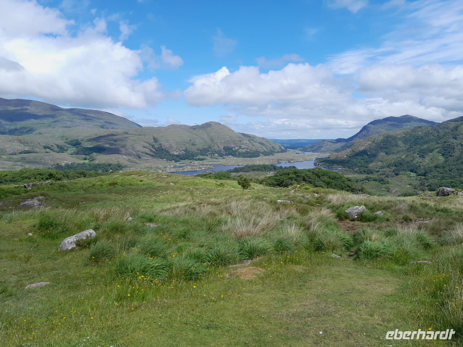 Tag 8 Ring of Kerry 4.jpg