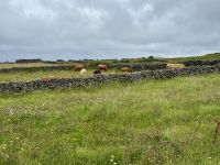 6. Tag – Ausflug auf die Aran Islands – Wandern auf Inishmore
