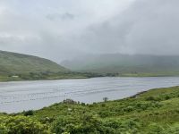 7. Tag – Leenaun bis Gort – Fotostopp am Killary Harbour, Teil 1