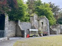 9. Tag – Gort bis Tralee – Wanderung in Coole Park – Café