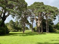 10. Tag – Ring of Kerry – Spaziergang vom Torc Waterfall zum Muckross House