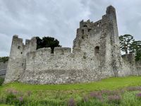 11. Tag – Tralee bis Newtownmountkennedy – Burgruine Desmond Castle in Adare
