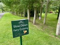 11. Tag – Tralee bis Newtownmountkennedy – Besuch auf dem Irischen Nationalgestüt