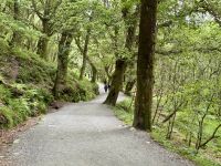 12. Tag – Tag in den Wicklow Mountains – Wandern im Tal von Glendalough