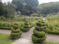 Glenveagh Castle Gardens 