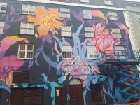 Wandmalereien in Waterford