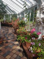 Gewächshaus beim Museum of County Life