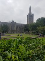 St. Patrick's Cathedral 