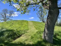 2. Tag: Dublin bis Letterkenny – Navan Fort &ndash; &copy; Andreas Wolfsteller (Eberhardt TRAVEL)