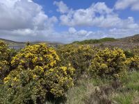 3. Tag: Im schönen County Donegal – Wandern im Glenveagh-Nationalpark &ndash; &copy; Andreas Wolfsteller (Eberhardt TRAVEL)