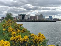 Belfast &ndash; &copy; Sinah Witzig (Eberhardt TRAVEL)
