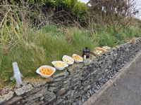 Kleines Picknick &ndash; &copy; Sinah Witzig (Eberhardt TRAVEL)
