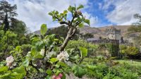 Glenveagh Castle &ndash; &copy; Sinah Witzig (Eberhardt TRAVEL)