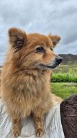 Ring of Kerry &ndash; &copy; Sinah Witzig (Eberhardt TRAVEL)
