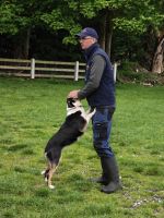 Atlantic Sheepdogs &ndash; &copy; Sinah Witzig (Eberhardt TRAVEL)