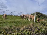 5. Tag: Letterkenny bis Leenaun – Wandern um die Halbinsel Mullaghmore &ndash; &copy; Andreas Wolfsteller (Eberhardt TRAVEL)