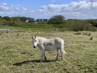 5. Tag: Letterkenny bis Leenaun – Wandern um die Halbinsel Mullaghmore &ndash; &copy; Andreas Wolfsteller (Eberhardt TRAVEL)