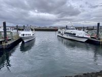 6. Tag: Ausflug auf die Aran Islands – Fähren im Hafen von Rossaveel &ndash; &copy; Andreas Wolfsteller (Eberhardt TRAVEL)
