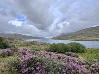 7. Tag: Connemara – Fotostopp am Killary Harbour &ndash; &copy; Andreas Wolfsteller (Eberhardt TRAVEL)