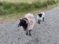 7. Tag: Connemara – Fotostopp im Inagh Valley &ndash; &copy; Andreas Wolfsteller (Eberhardt TRAVEL)