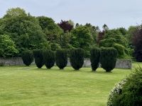 8. Tag: Leenaun bis Spanish Point – Wandern in Coole Park &ndash; &copy; Andreas Wolfsteller (Eberhardt TRAVEL)