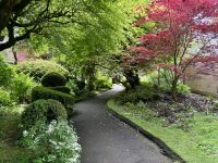 11. Tag: Tralee bis Newtownmountkennedy – Besuch auf dem Irischen Nationalgestüt – Japanischer Garten &ndash; &copy; Andreas Wolfsteller (Eberhardt TRAVEL)