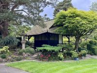 11. Tag: Tralee bis Newtownmountkennedy – Besuch auf dem Irischen Nationalgestüt – Japanischer Garten &ndash; &copy; Andreas Wolfsteller (Eberhardt TRAVEL)