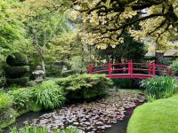11. Tag: Tralee bis Newtownmountkennedy – Besuch auf dem Irischen Nationalgestüt – Japanischer Garten &ndash; &copy; Andreas Wolfsteller (Eberhardt TRAVEL)