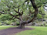 10. Tag: Ring of Kerry – Muckross House und Park &ndash; &copy; Andreas Wolfsteller (Eberhardt TRAVEL)
