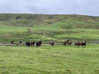 9. Tag: Spanish Point bis Tralee – Klippenwanderung nach Doolin &ndash; &copy; Andreas Wolfsteller (Eberhardt TRAVEL)