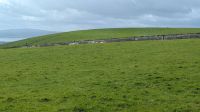 Überall grün, Cliffs of Moher &ndash; &copy; Natalie Hady (Eberhardt TRAVEL)