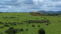 Carrowmore &ndash; &copy; Natalie Hady (Eberhardt TRAVEL)