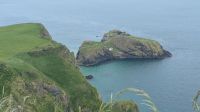 Carrick-a-Rede - National Trust &ndash; &copy; Natalie Hady (Eberhardt TRAVEL)