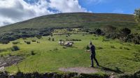 Kell's Sheepdogs &ndash; &copy; Natalie Hady (Eberhardt TRAVEL)