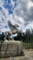 252 – Irland, Powerscourt Gardens